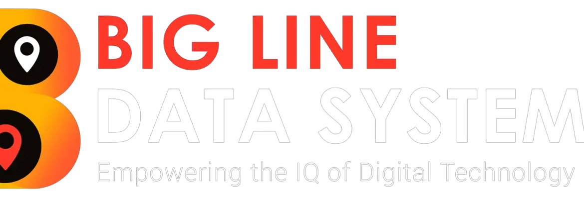 Big Line Data Systems